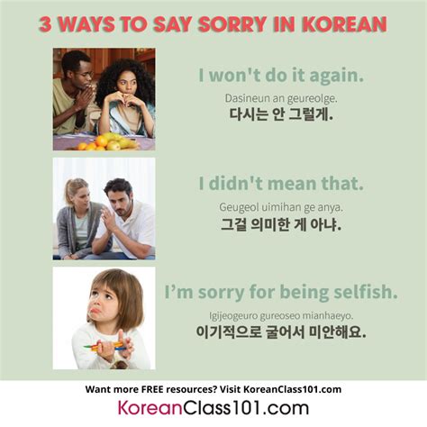 joesonghamnida|How To Say Sorry In Korean (with Audio!) .